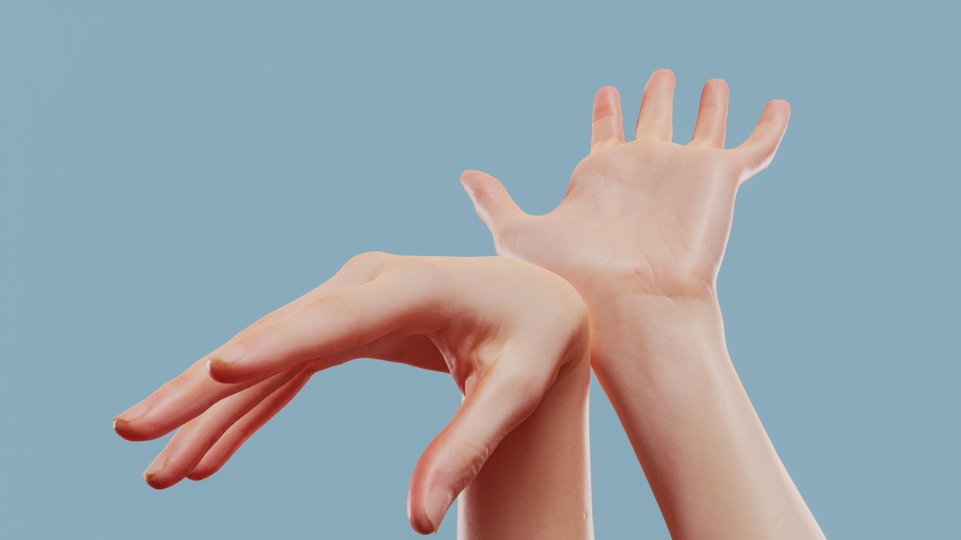 Leave Me Alone Duo Hands 024 Low-poly 3D model_1