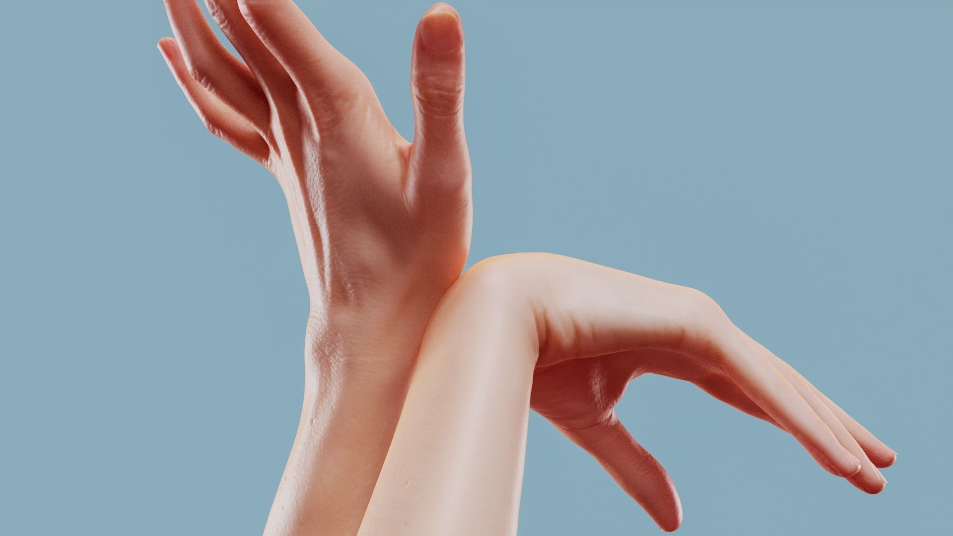 Leave Me Alone Duo Hands 024 Low-poly 3D model_6