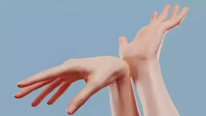 Leave Me Alone Duo Hands 024 Low-poly 3D model