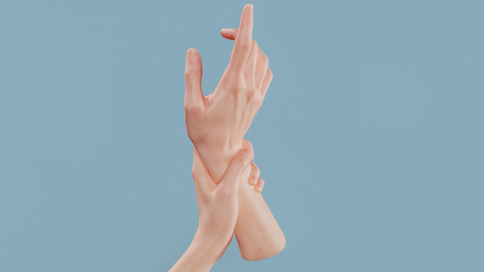 Hold My Hand Duo Hands 010 Low-poly 3D model_8