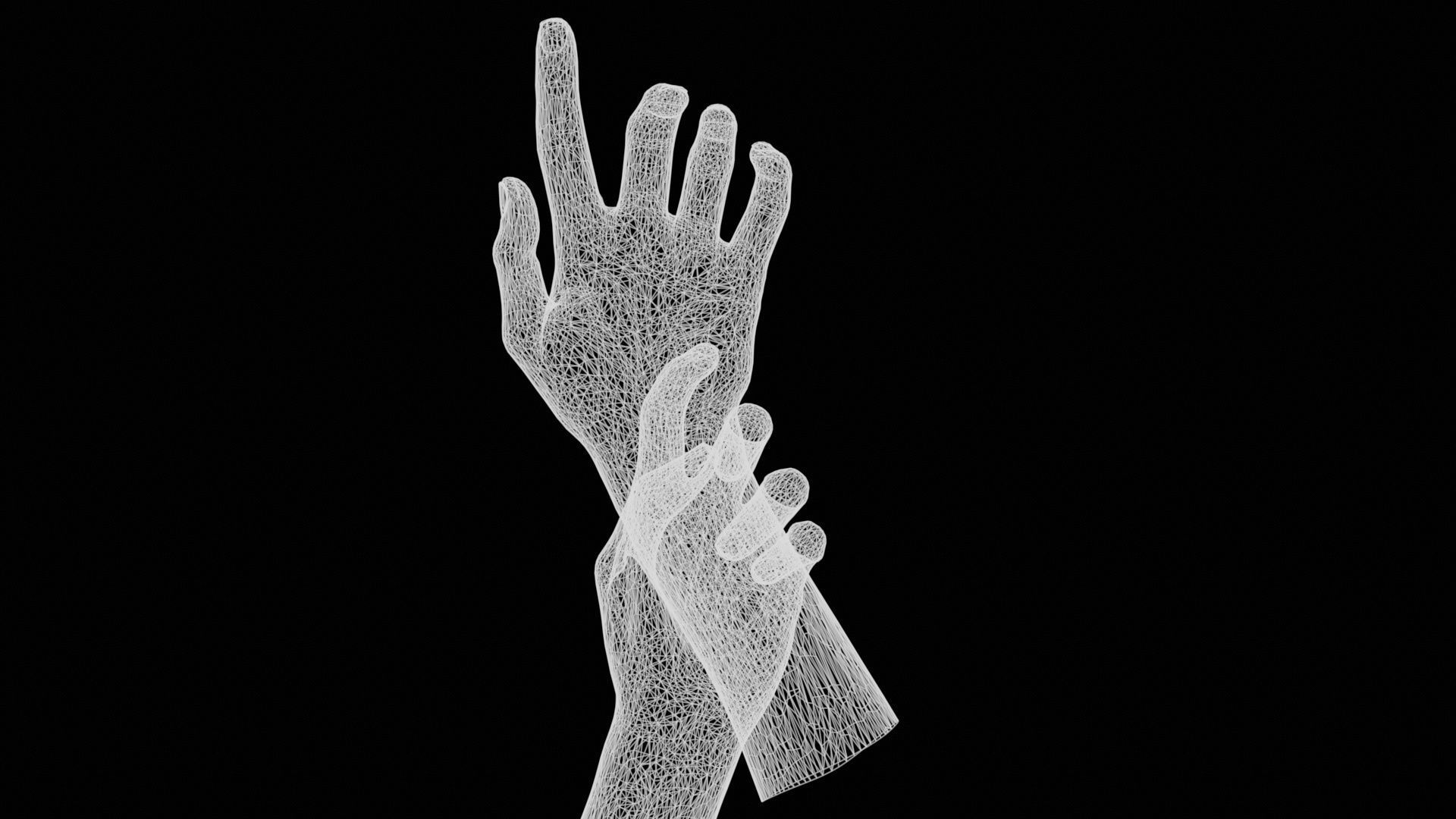 Hold My Hand Duo Hands 010 Low-poly 3D model_13