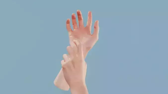 Hold My Hand Duo Hands 010 Low-poly 3D model