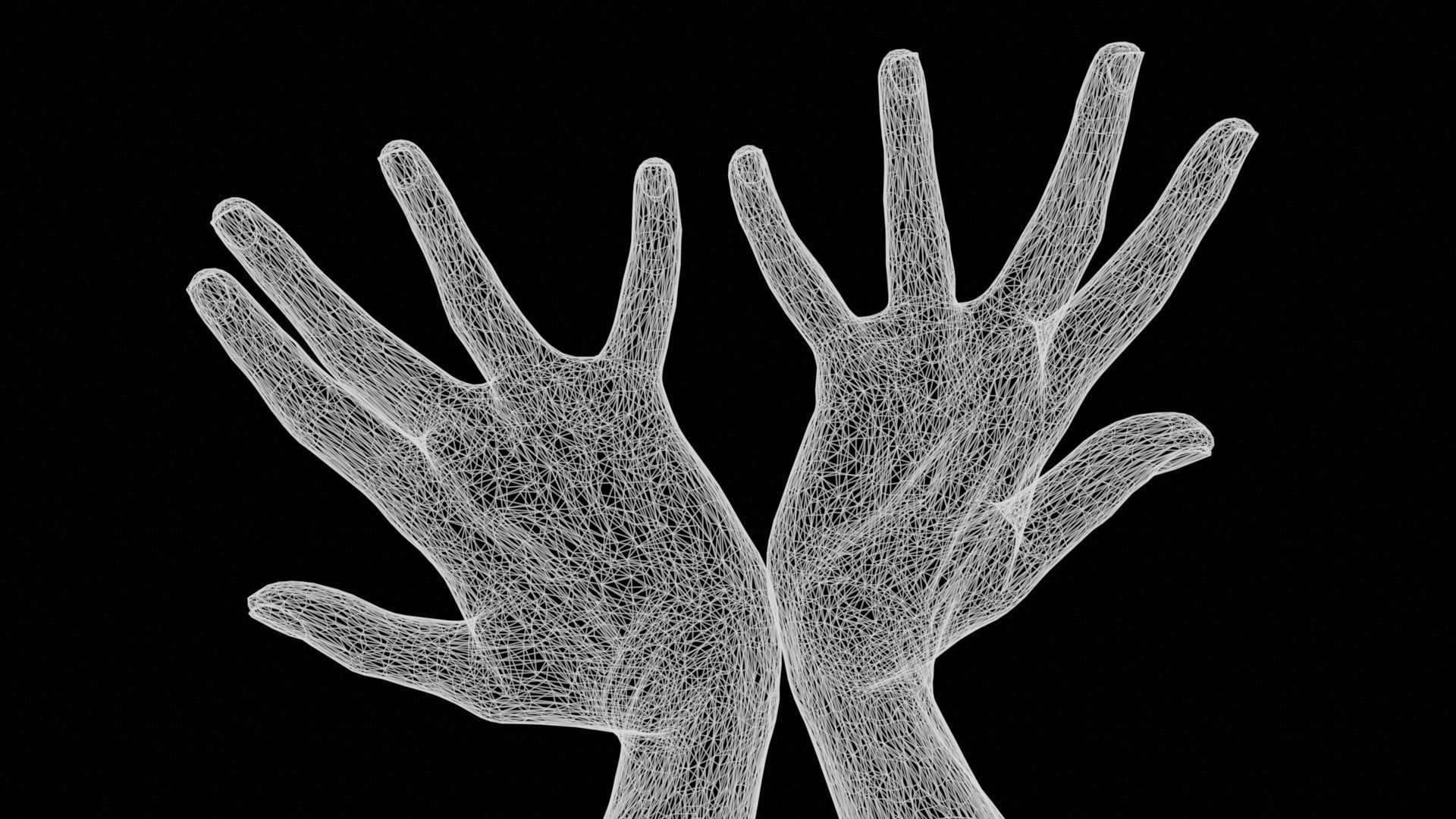 Hand Bowl Duo Hands 023 Low-poly 3D model_12