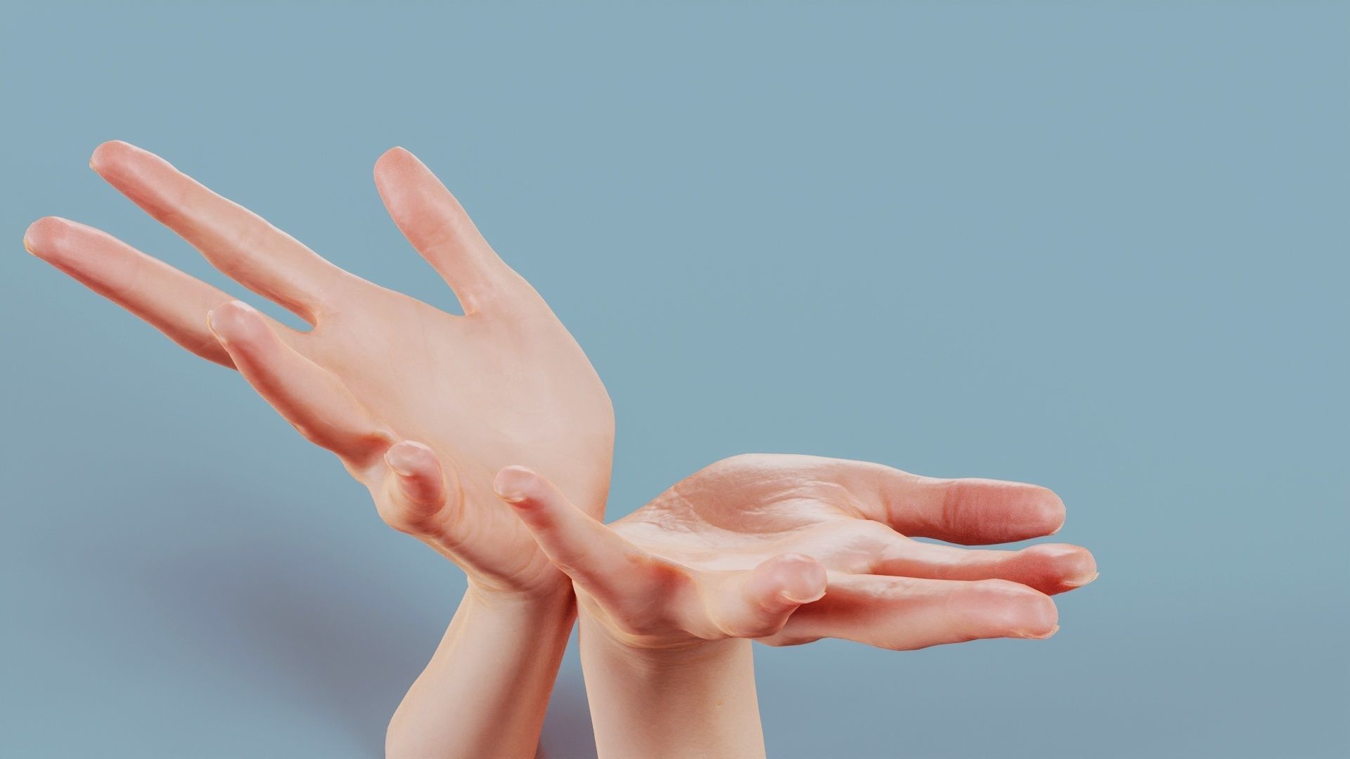 Hand Bowl Duo Hands 023 Low-poly 3D model_5