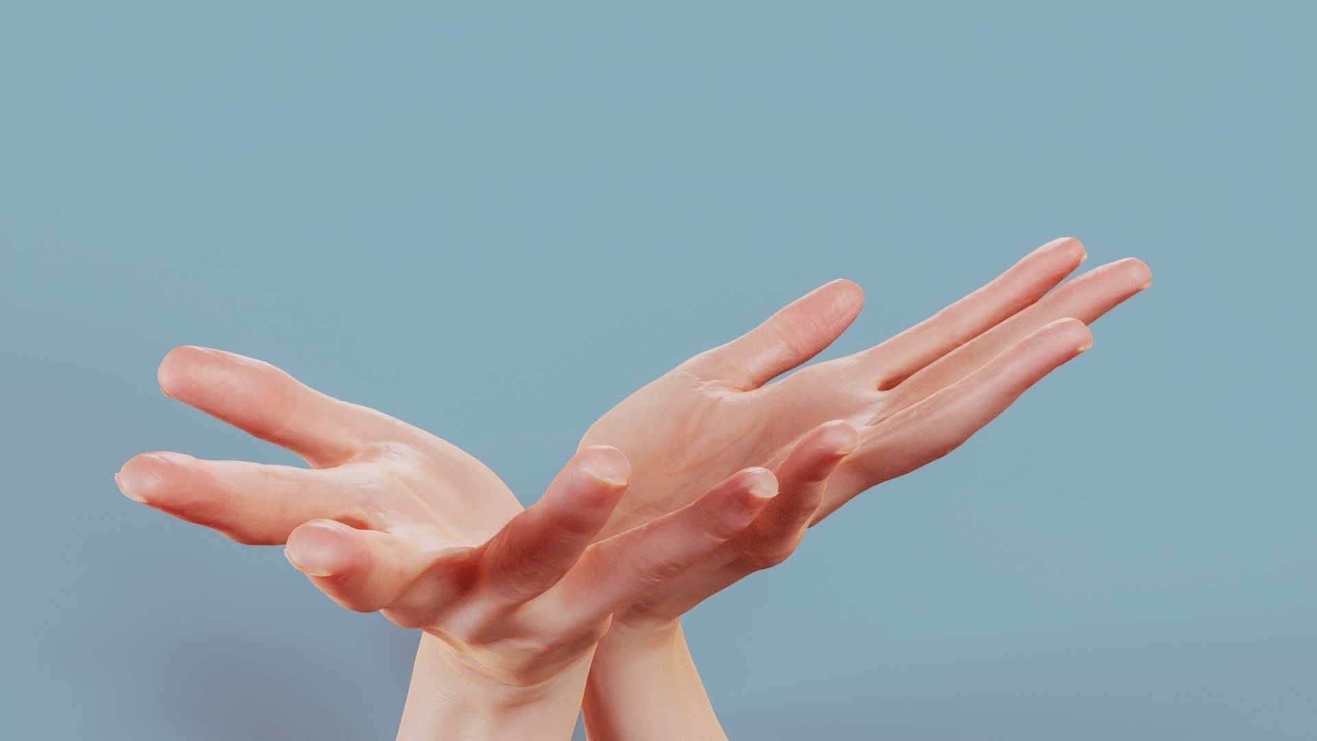 Hand Bowl Duo Hands 023 Low-poly 3D model_7