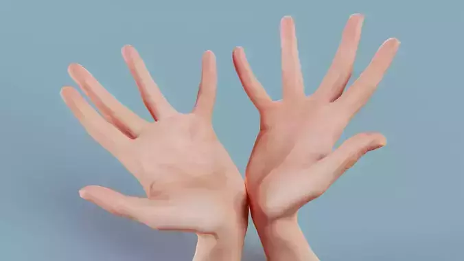Hand Bowl Duo Hands 023 Low-poly 3D model