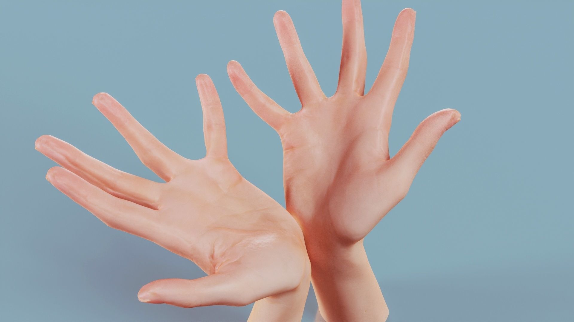 Hand Bowl Duo Hands 023 Low-poly 3D model_1