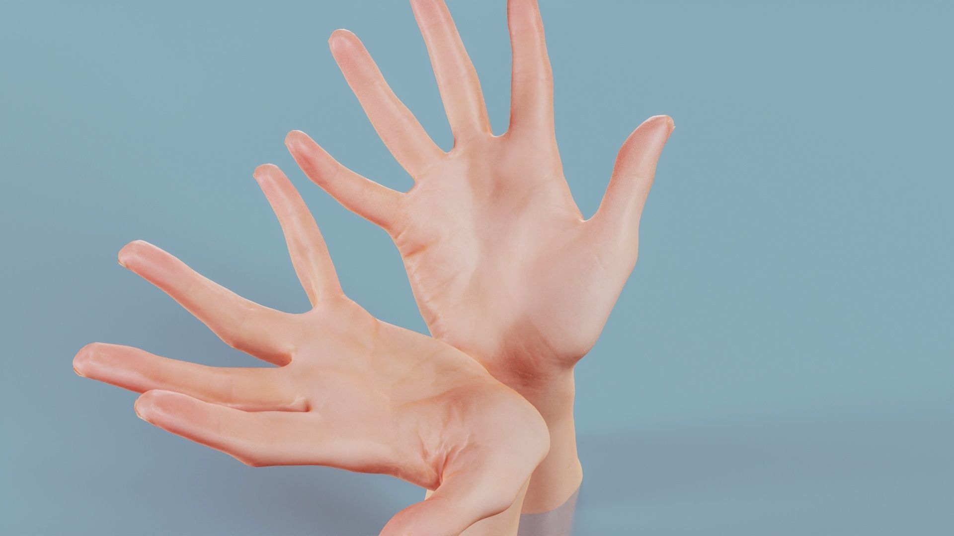 Hand Bowl Duo Hands 023 Low-poly 3D model_2