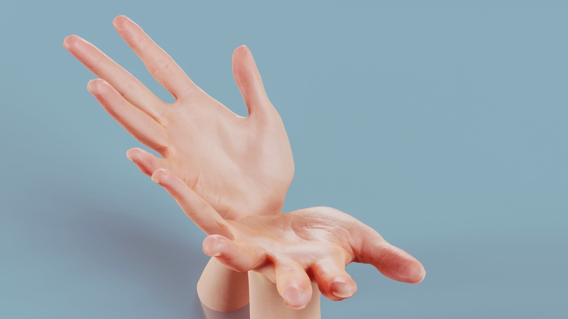 Hand Bowl Duo Hands 023 Low-poly 3D model_4