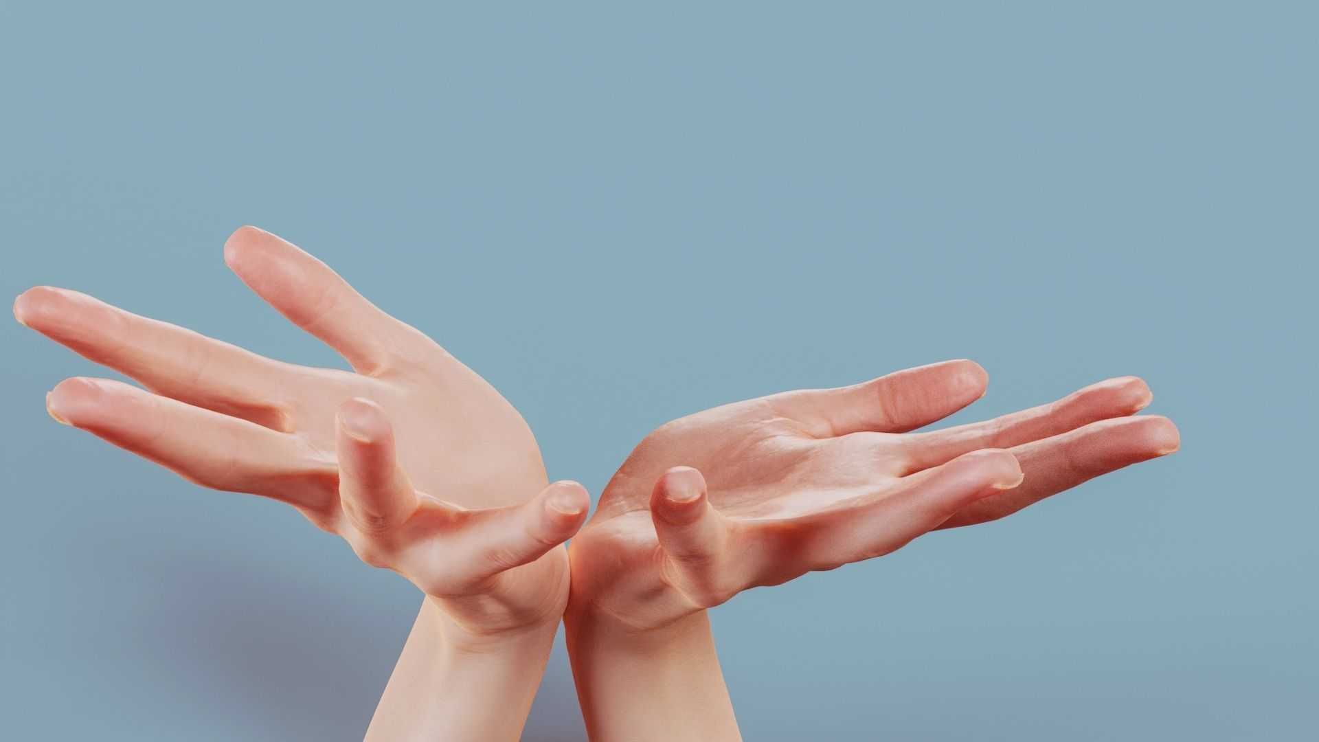 Hand Bowl Duo Hands 023 Low-poly 3D model_6