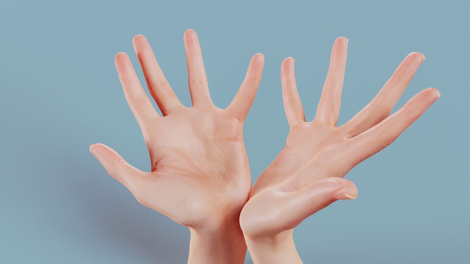 Hand Bowl Duo Hands 023 Low-poly 3D model_11