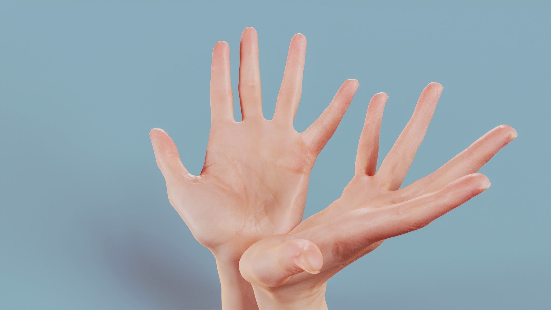 Hand Bowl Duo Hands 023 Low-poly 3D model_10