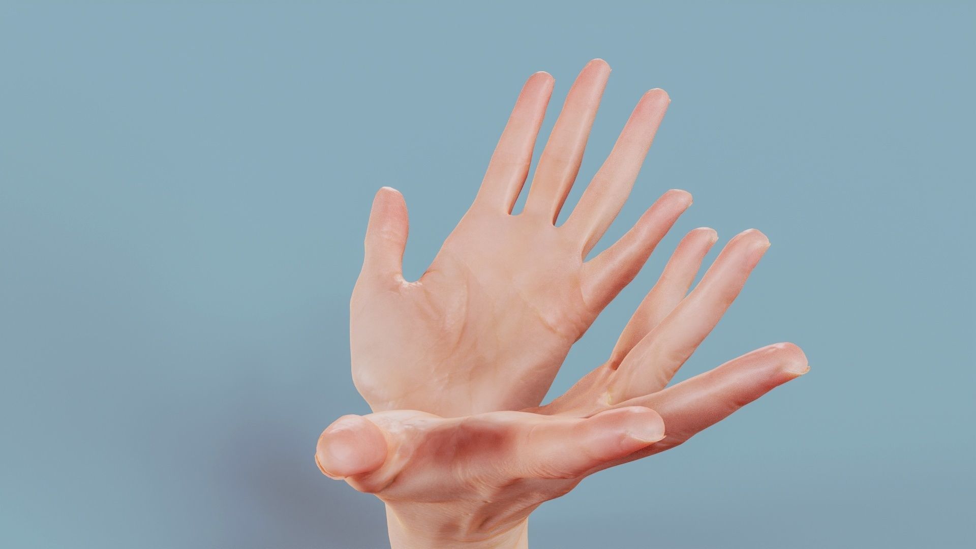 Hand Bowl Duo Hands 023 Low-poly 3D model_9