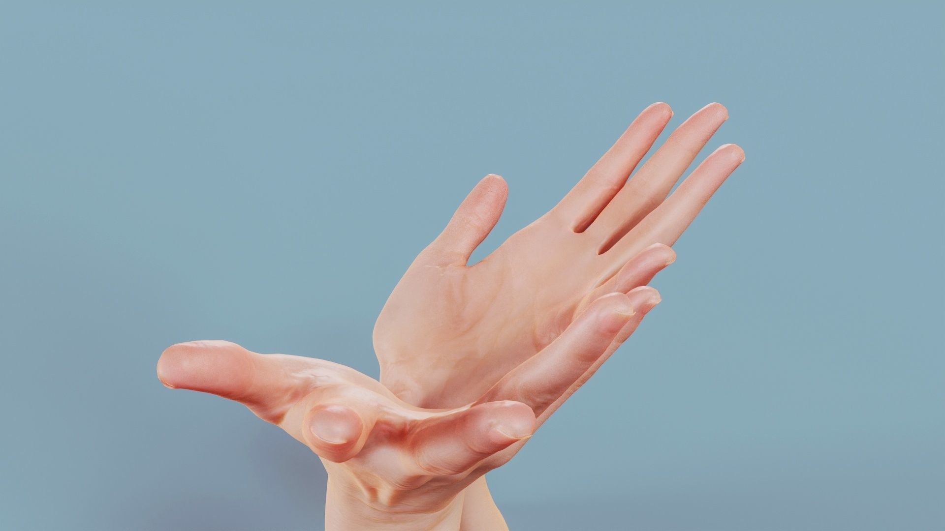 Hand Bowl Duo Hands 023 Low-poly 3D model_8