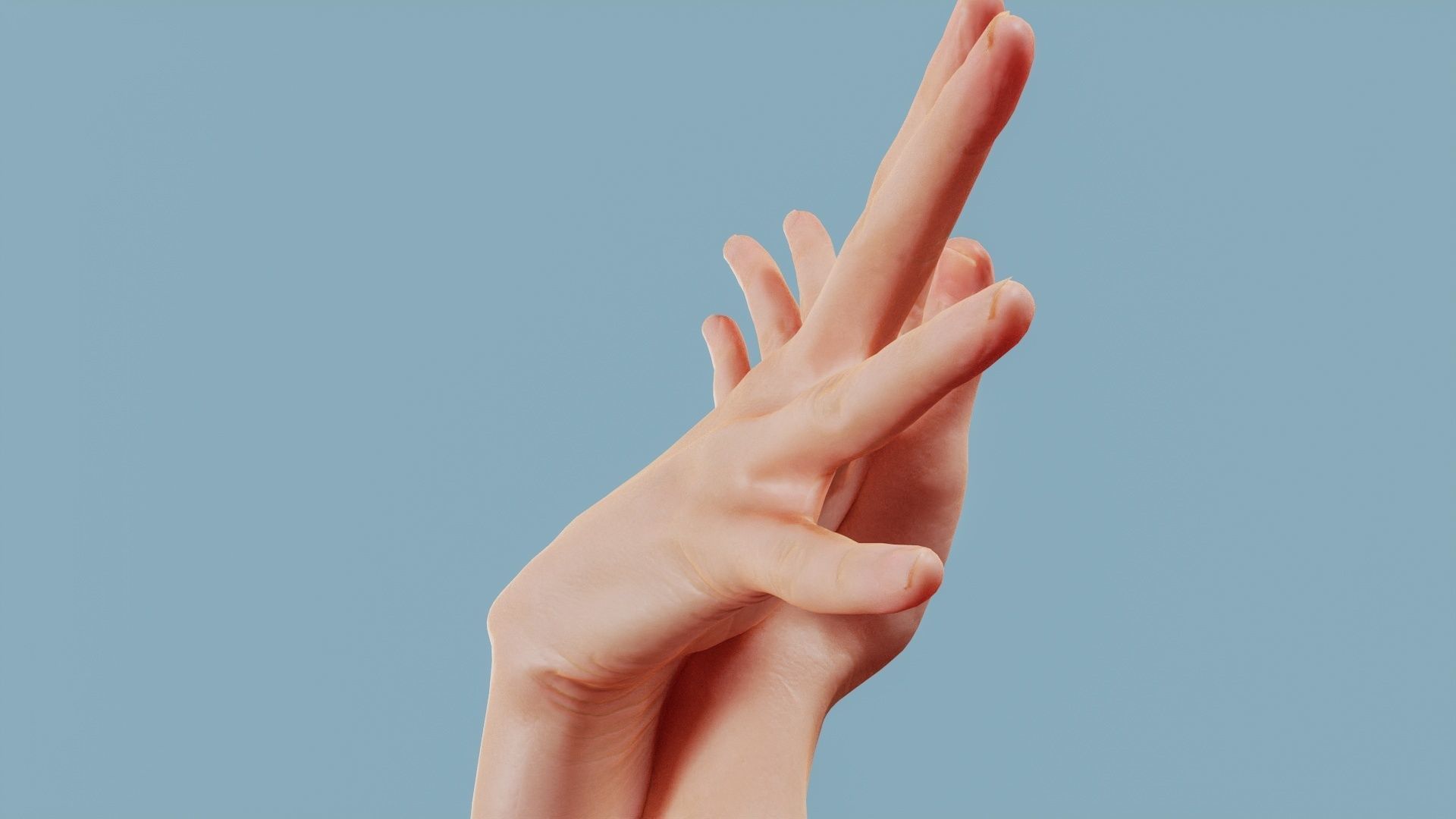 Flappy Duo Hands 002 Low-poly 3D model_3