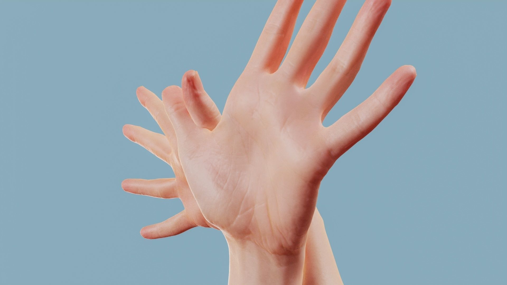 Flappy Duo Hands 002 Low-poly 3D model_10