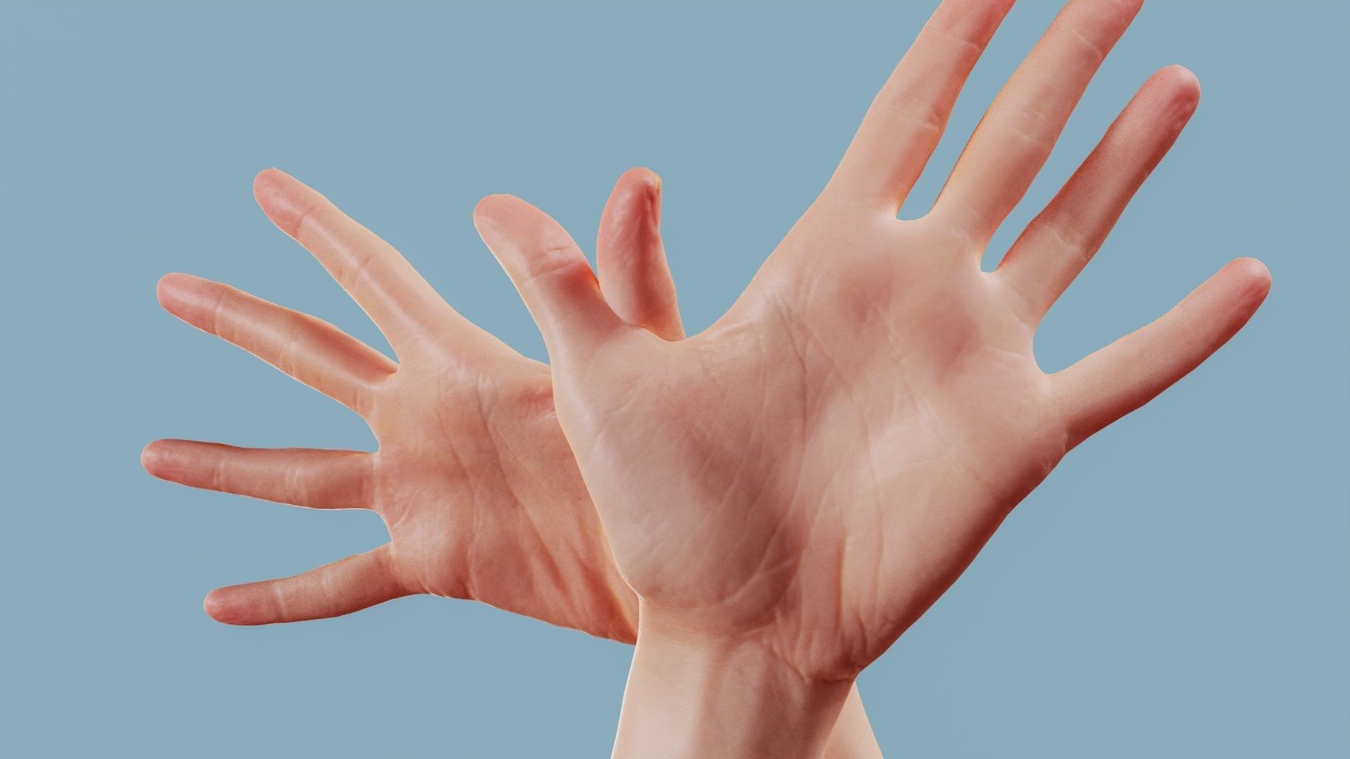Flappy Duo Hands 002 Low-poly 3D model_11