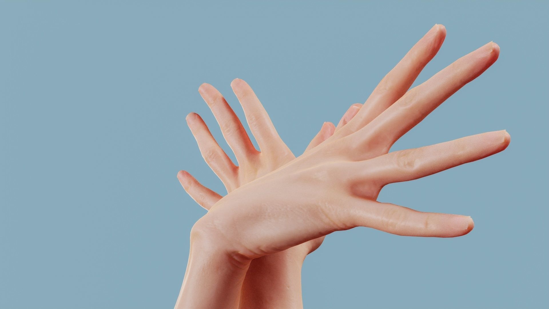 Flappy Duo Hands 002 Low-poly 3D model_4