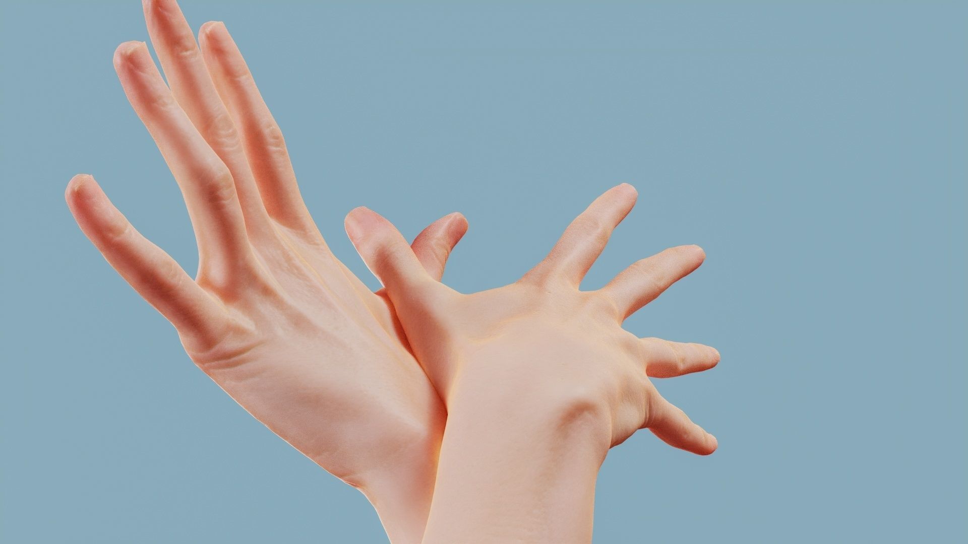 Flappy Duo Hands 002 Low-poly 3D model_7