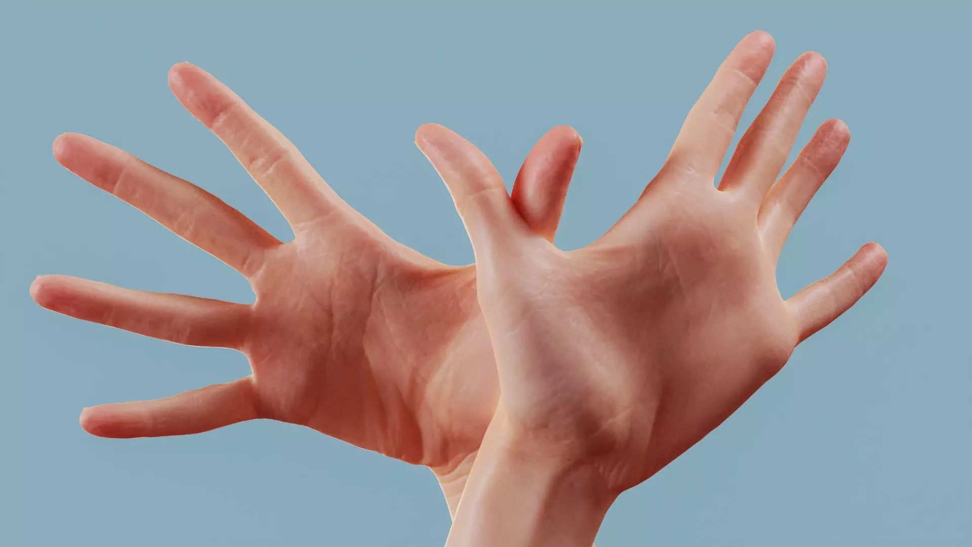 Flappy Duo Hands 002 Low-poly 3D model_0