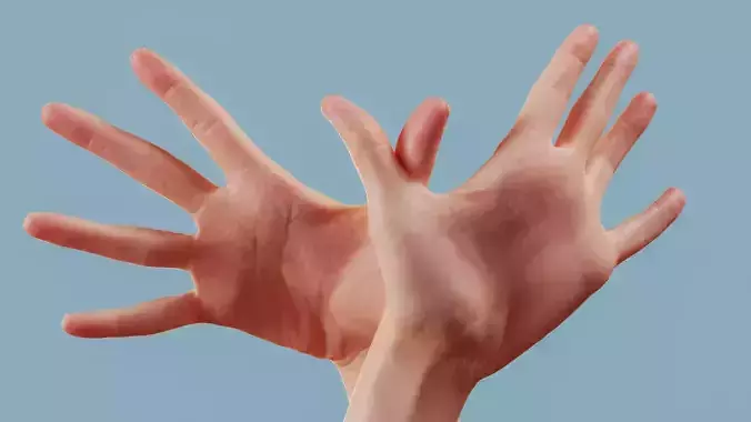 Flappy Duo Hands 002 Low-poly 3D model