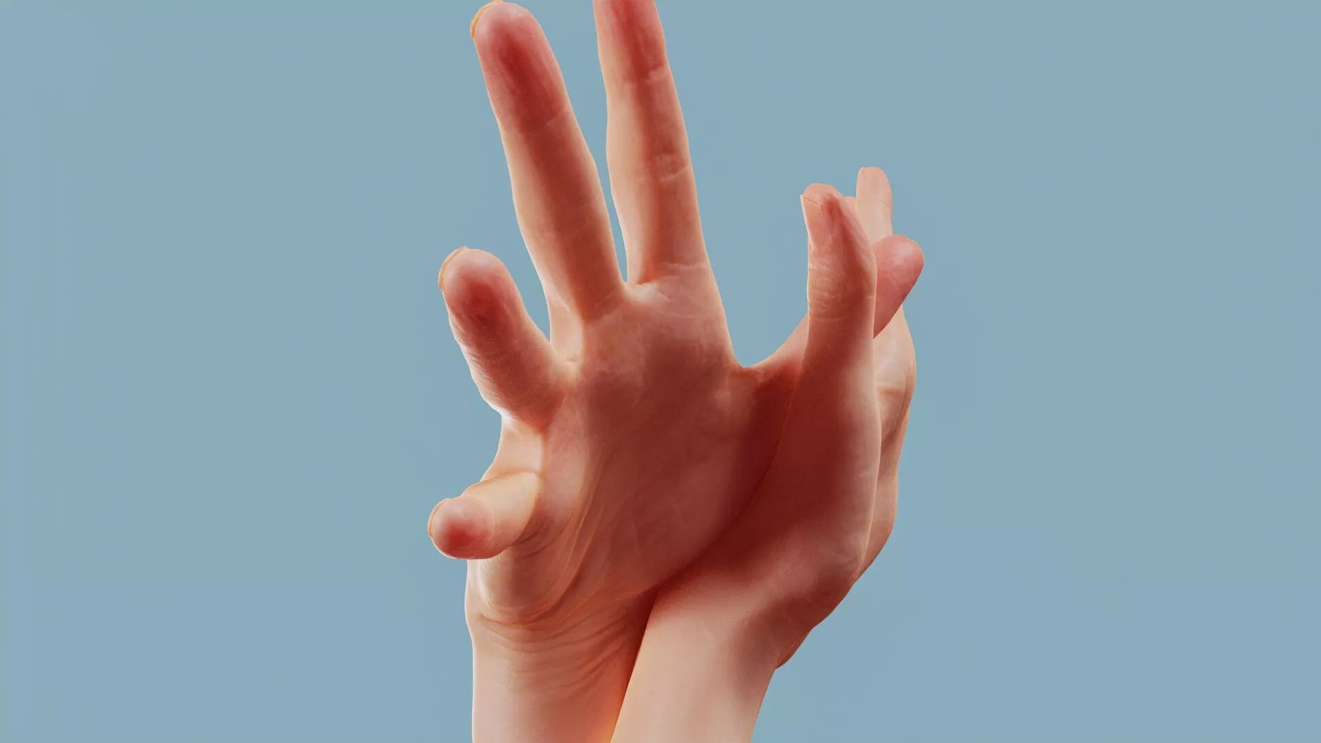 Flappy Duo Hands 002 Low-poly 3D model