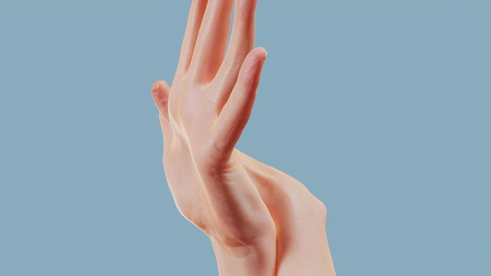 Flappy Duo Hands 002 Low-poly 3D model_9
