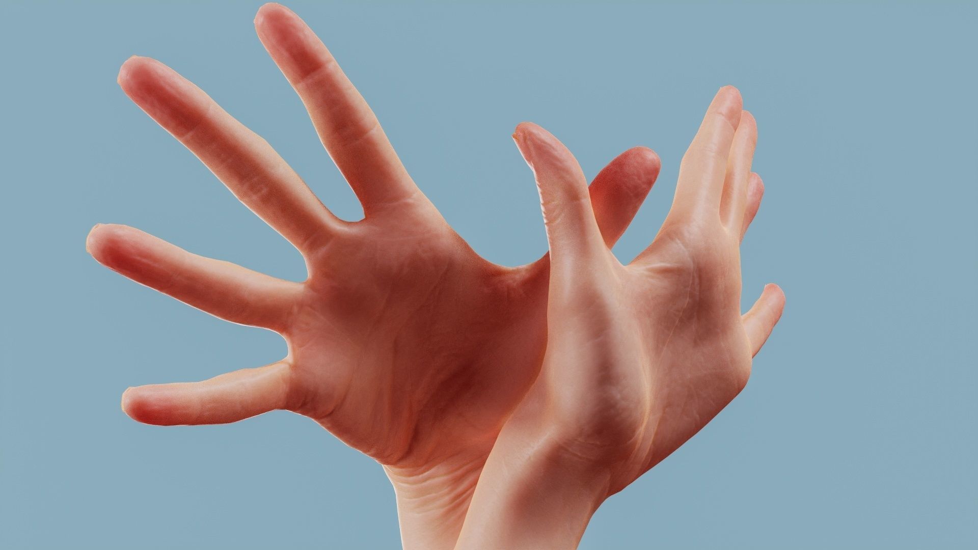 Flappy Duo Hands 002 Low-poly 3D model_1