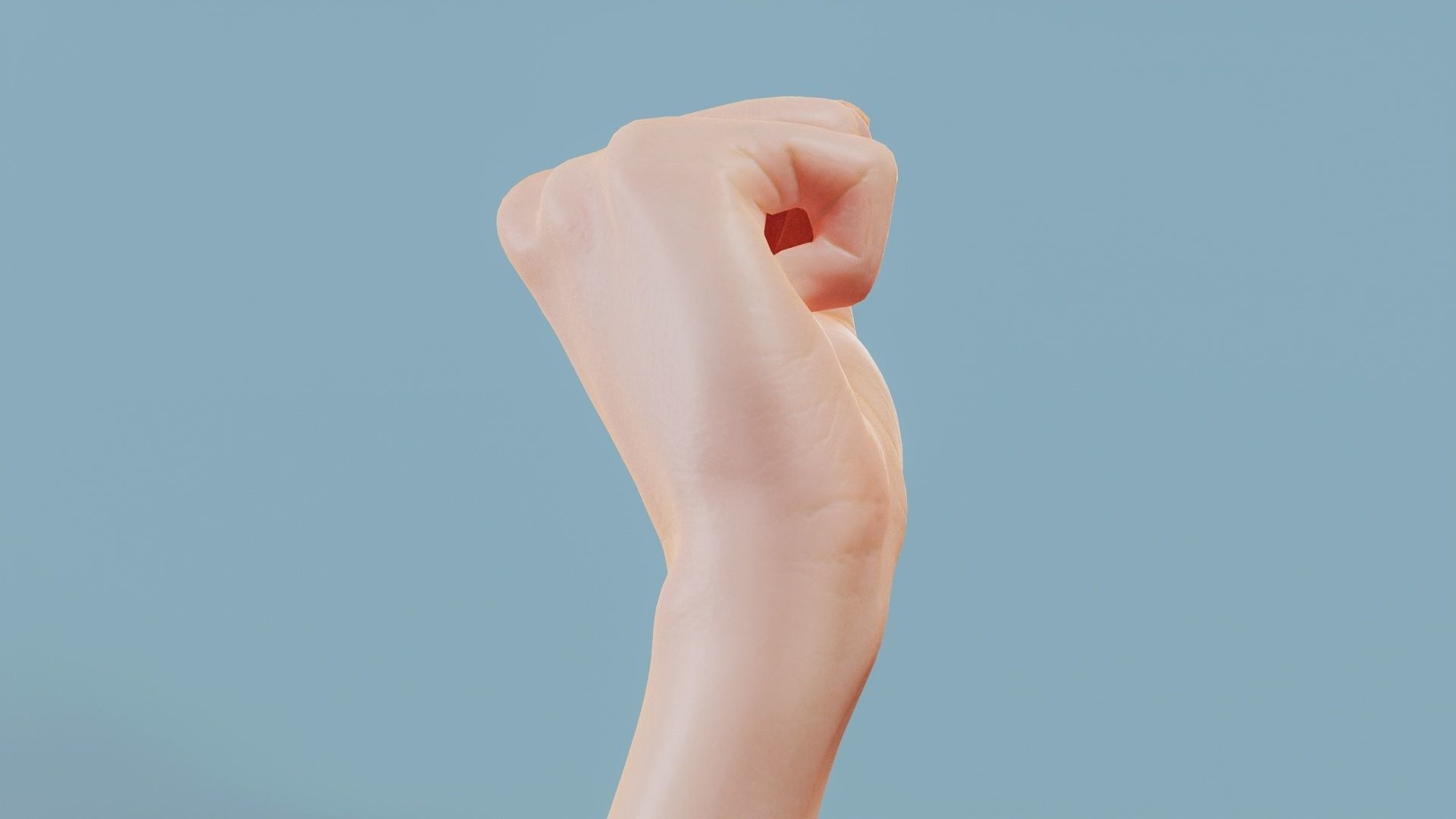 Fisted Single Hand 011 Low-poly 3D model_3