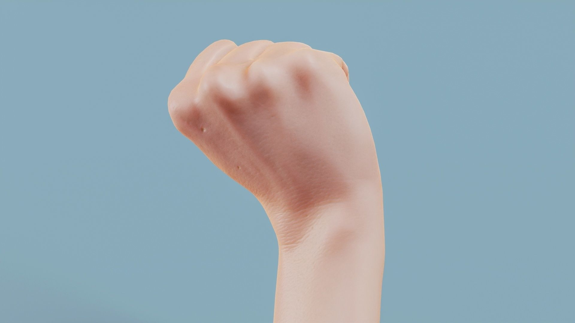 Fisted Single Hand 011 Low-poly 3D model_5