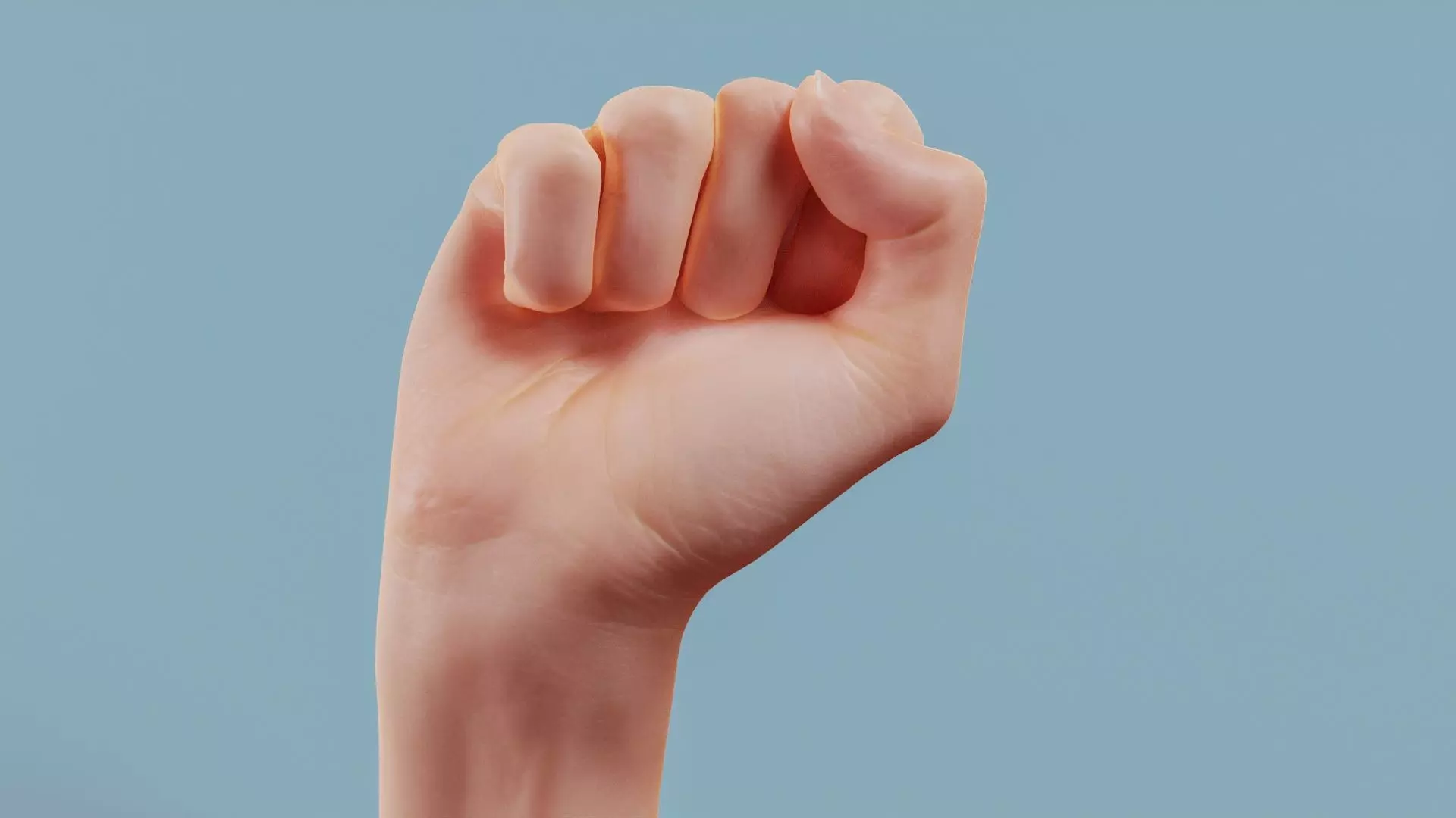 Fisted Single Hand 011 Low-poly 3D model_0