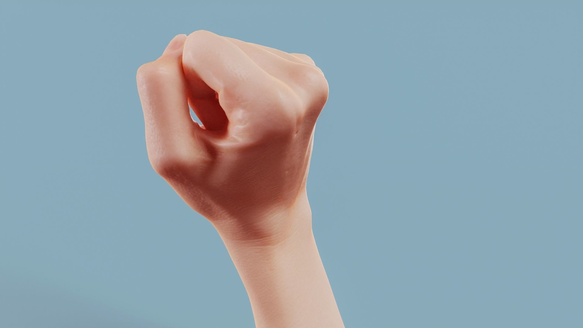 Fisted Single Hand 011 Low-poly 3D model_8