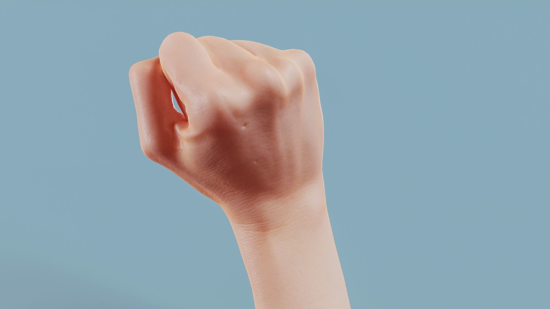 Fisted Single Hand 011 Low-poly 3D model_7