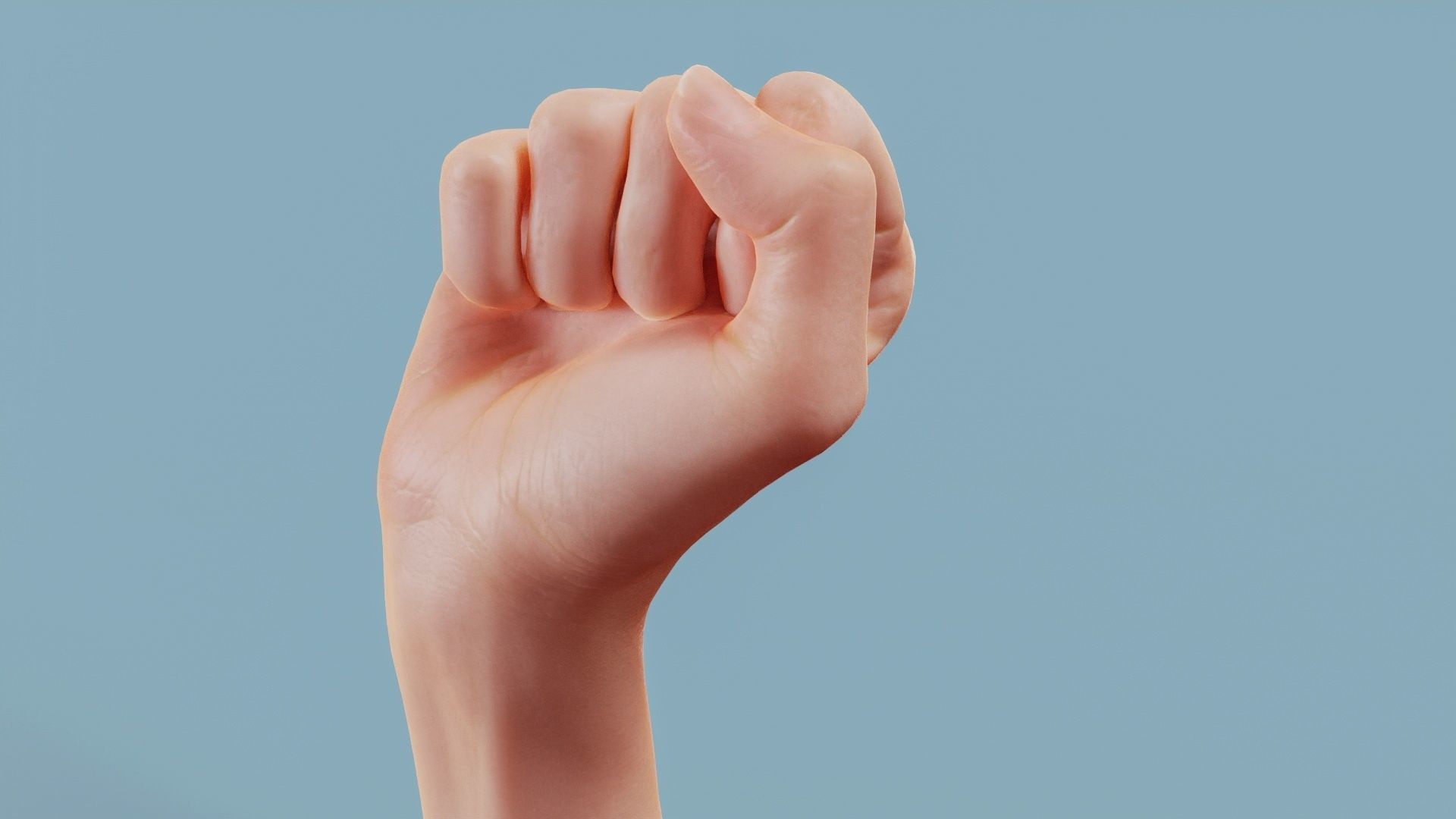 Fisted Single Hand 011 Low-poly 3D model_11