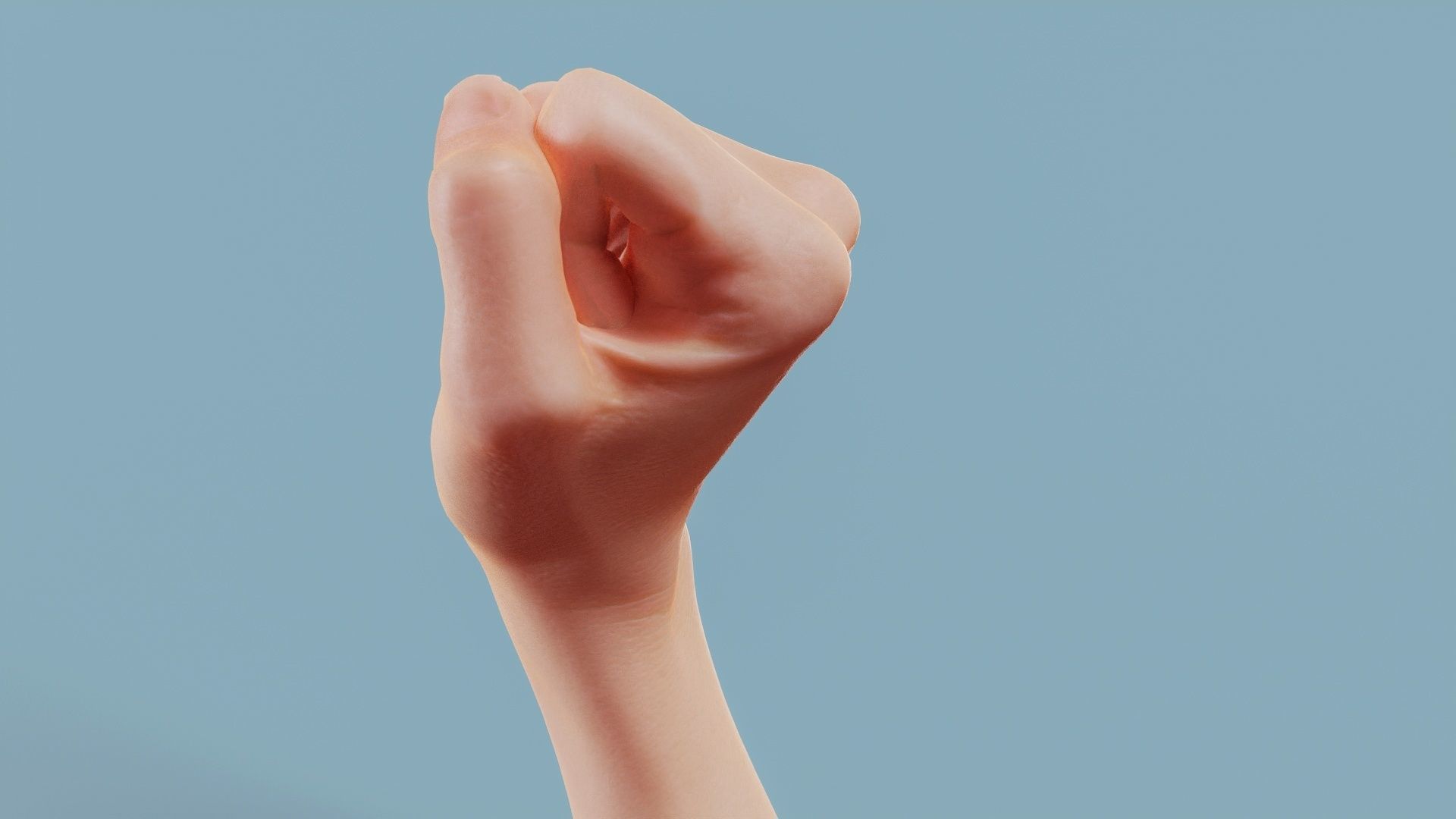 Fisted Single Hand 011 Low-poly 3D model_9