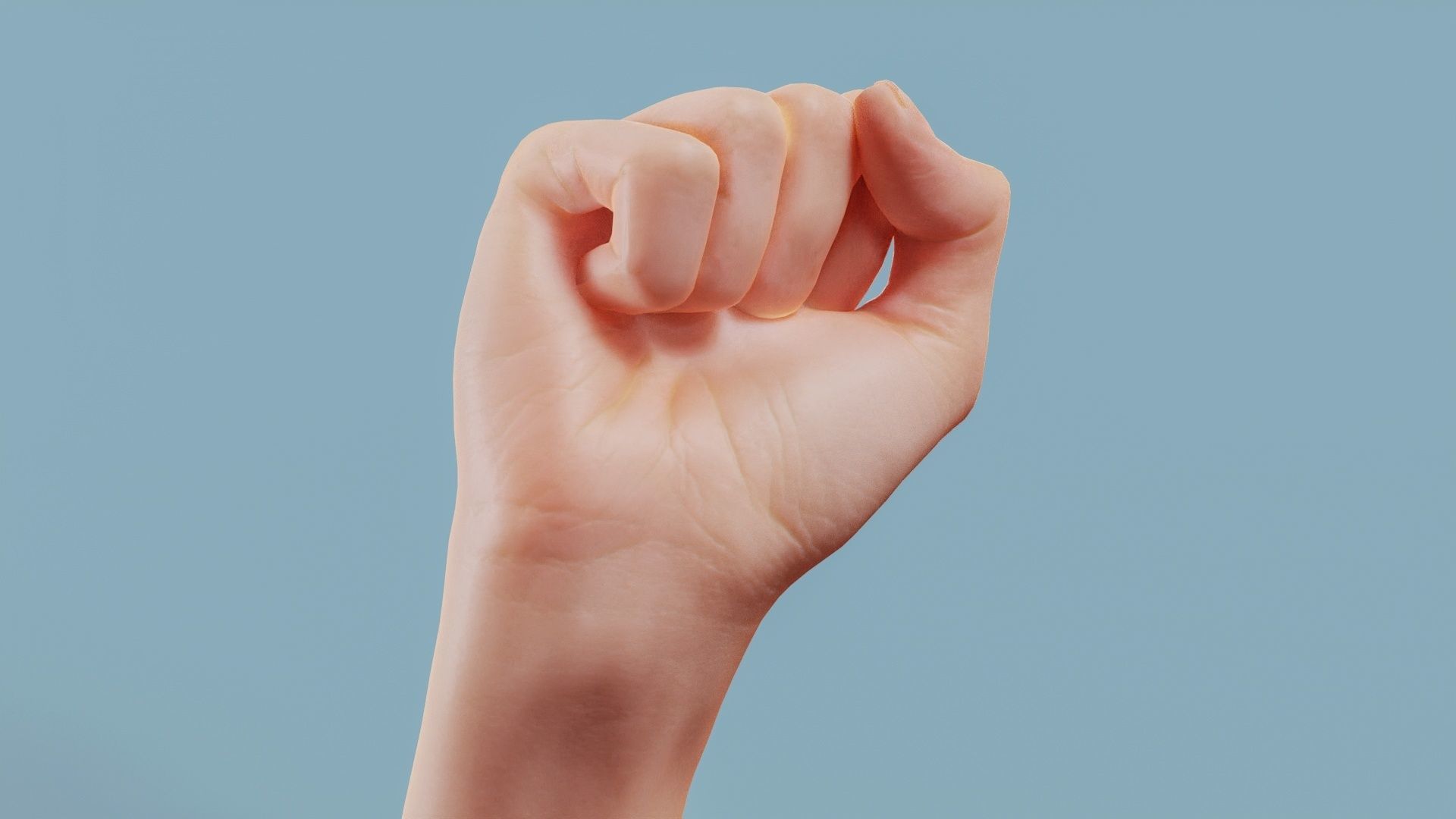 Fisted Single Hand 011 Low-poly 3D model_1