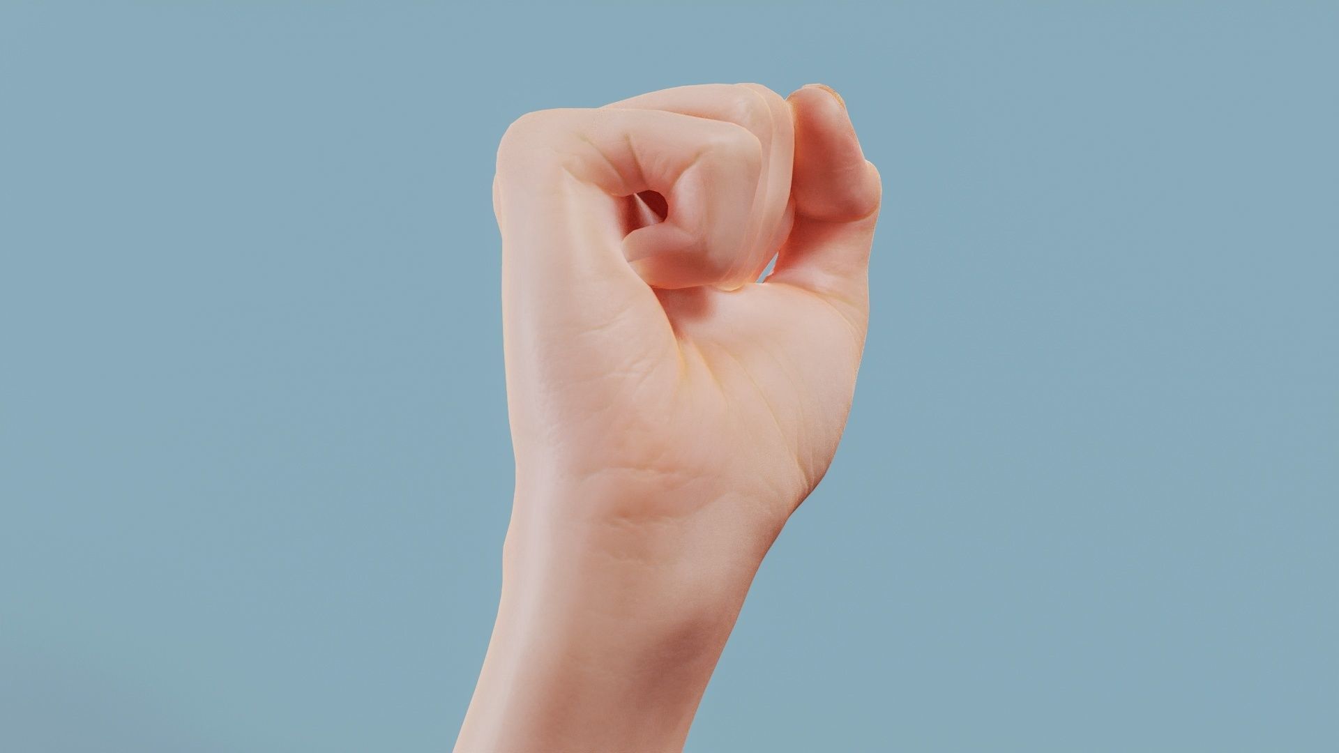 Fisted Single Hand 011 Low-poly 3D model_2