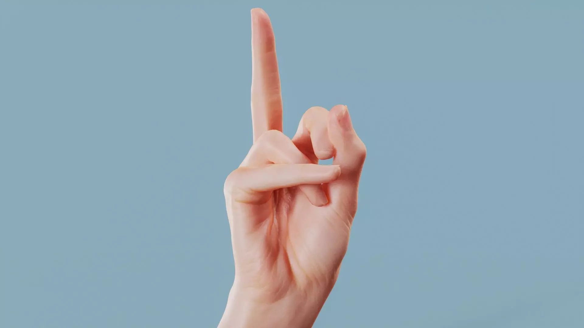 F You Single Hand 008 Low-poly 3D model_0