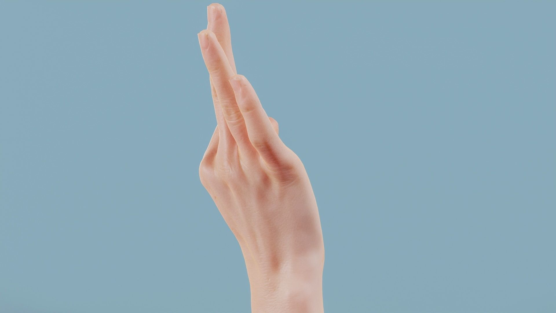 Excellent Single Hand 005 Low-poly 3D model_3