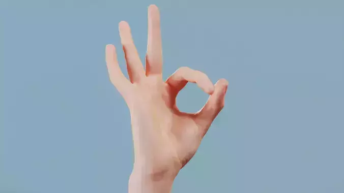 Excellent Single Hand 005 Low-poly 3D model