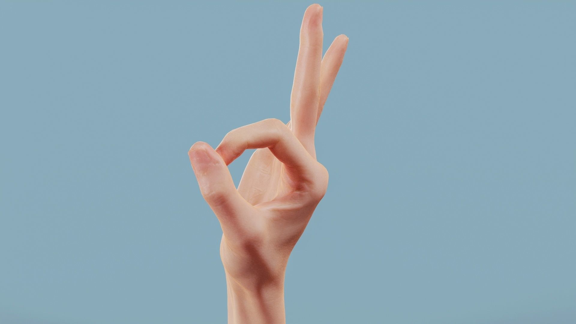Excellent Single Hand 005 Low-poly 3D model_8