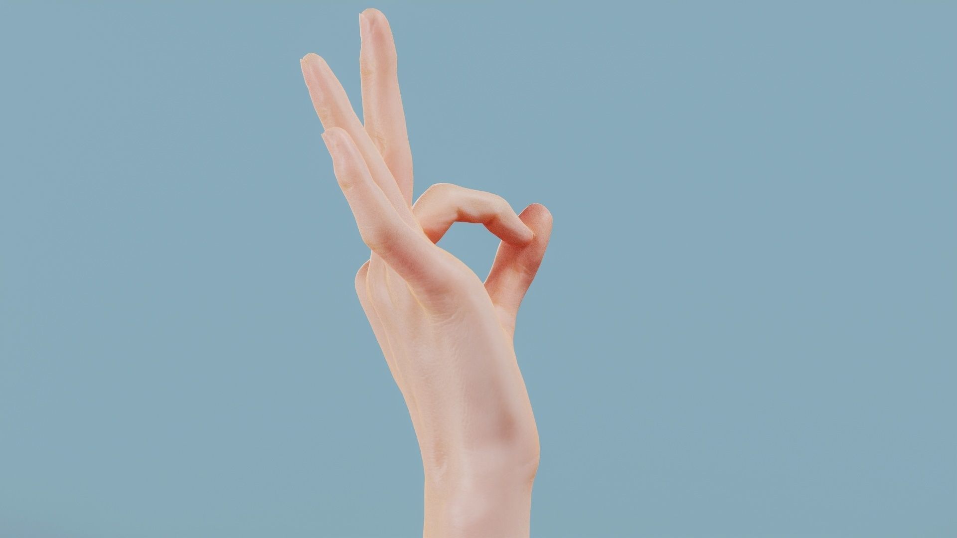 Excellent Single Hand 005 Low-poly 3D model_2