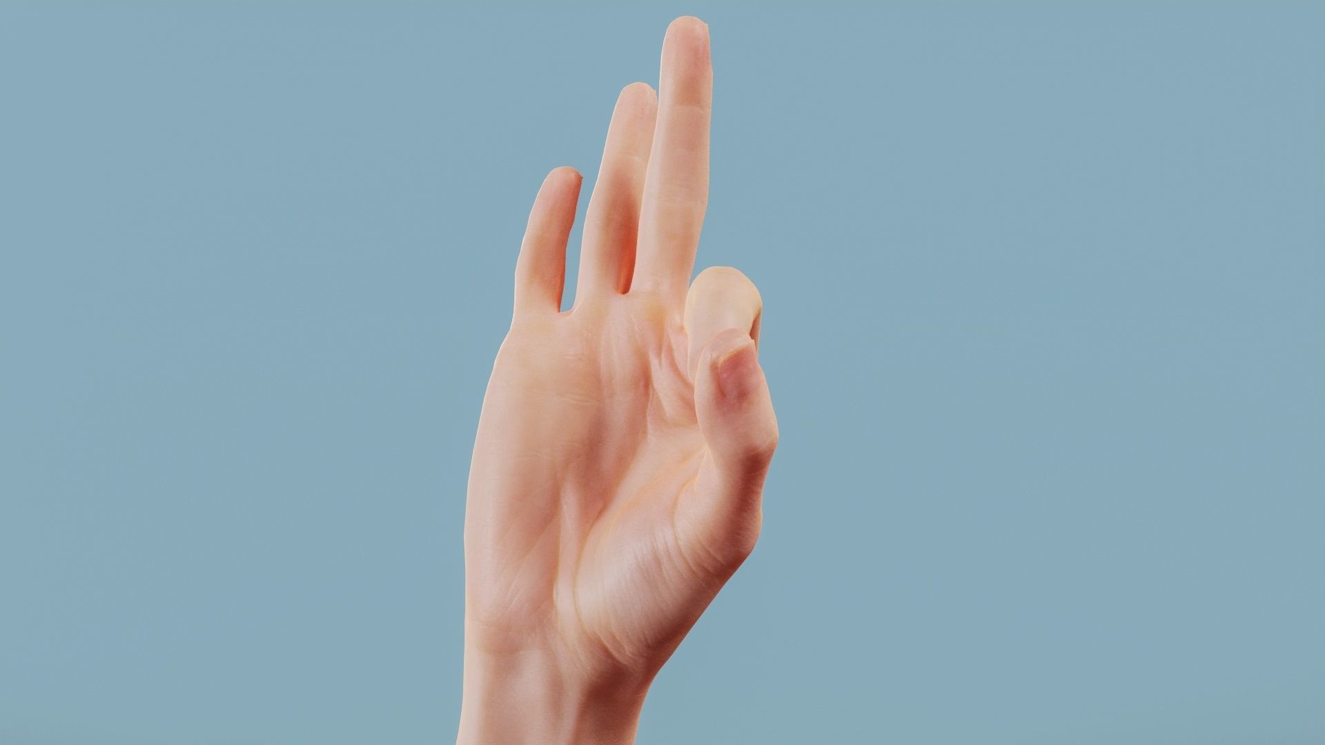 Excellent Single Hand 005 Low-poly 3D model_10