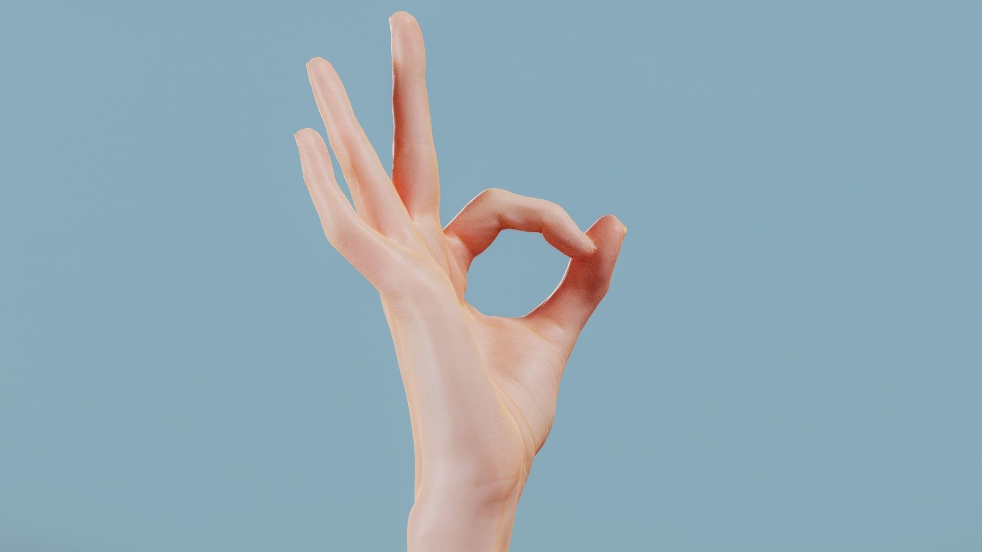 Excellent Single Hand 005 Low-poly 3D model_1