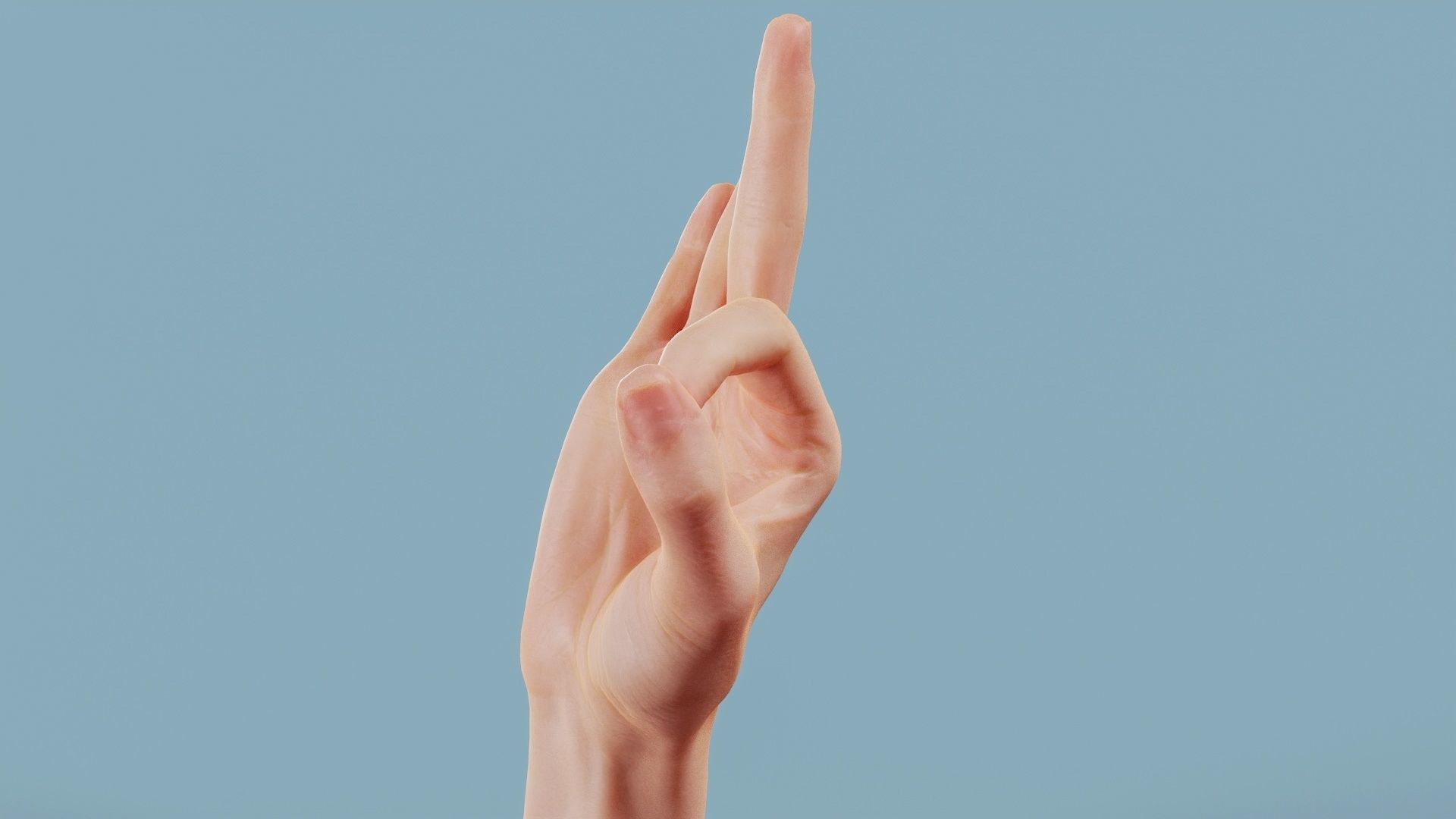 Excellent Single Hand 005 Low-poly 3D model_9