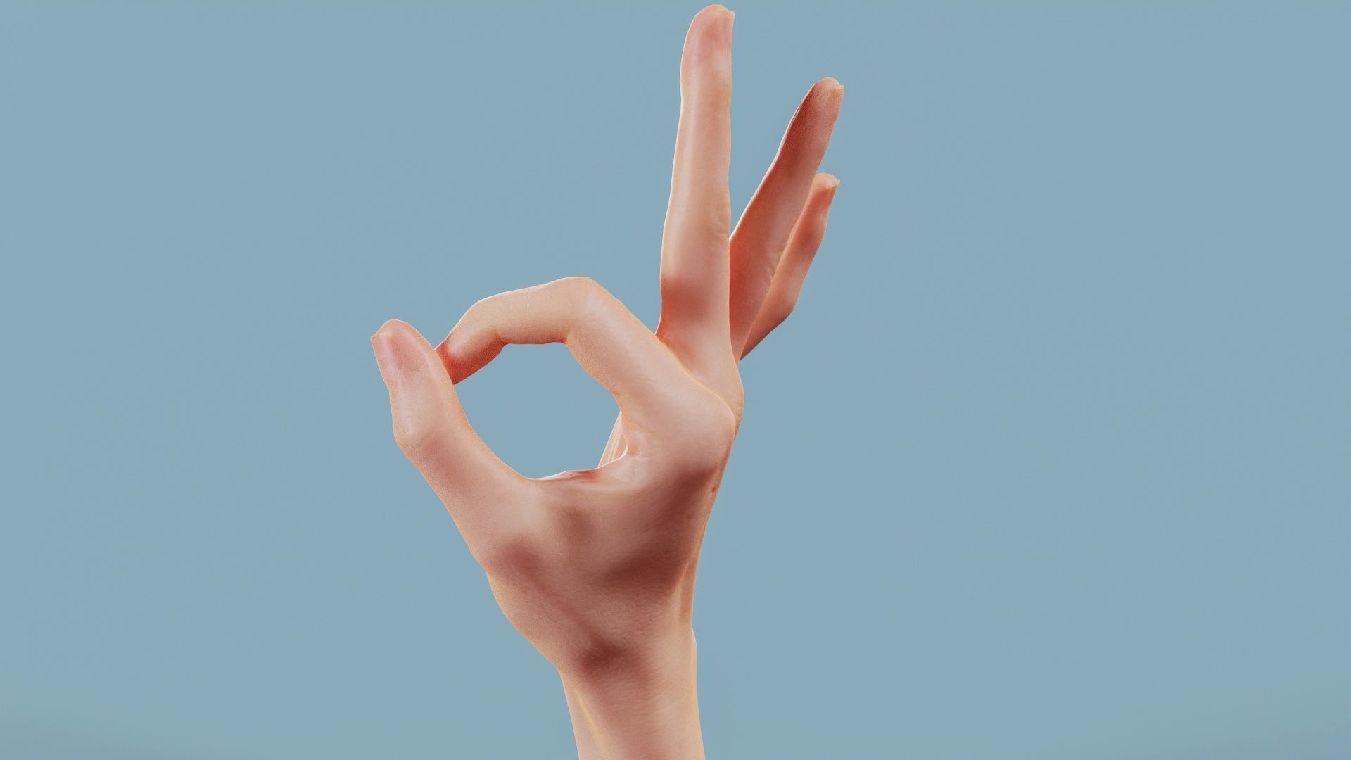 Excellent Single Hand 005 Low-poly 3D model_7