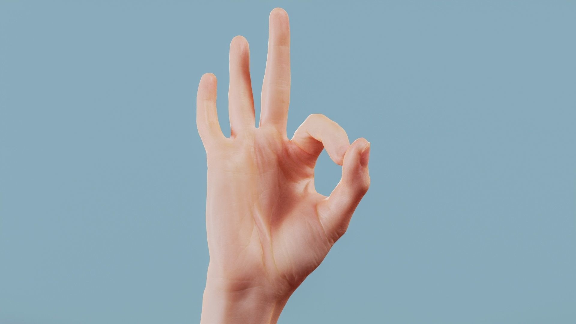 Excellent Single Hand 005 Low-poly 3D model_11