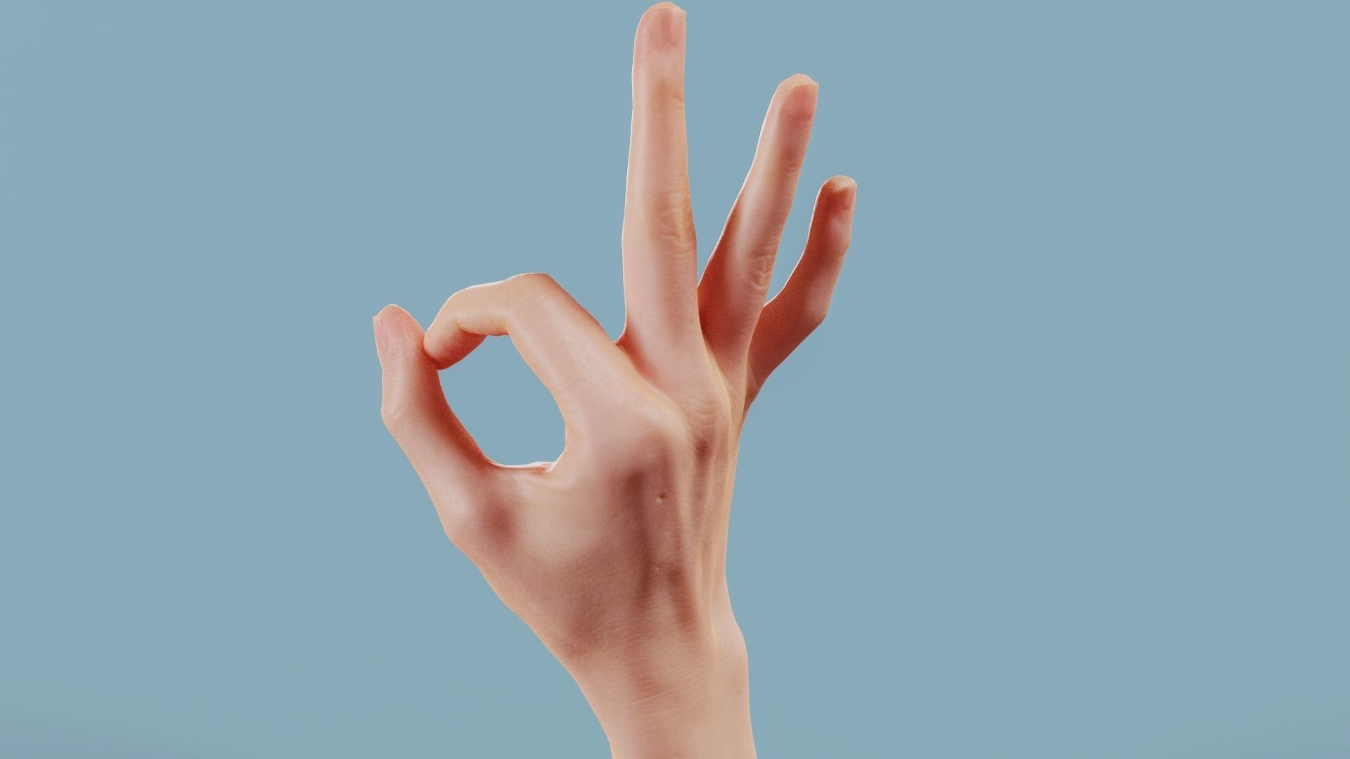 Excellent Single Hand 005 Low-poly 3D model_6