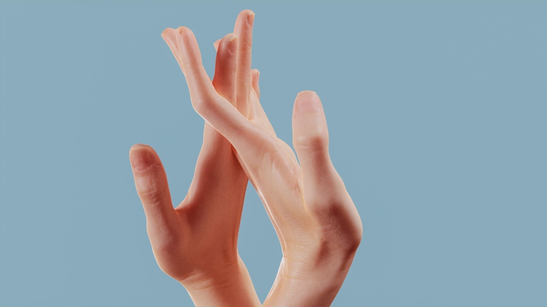 Entangled Duo Hands 028 Low-poly 3D model_10