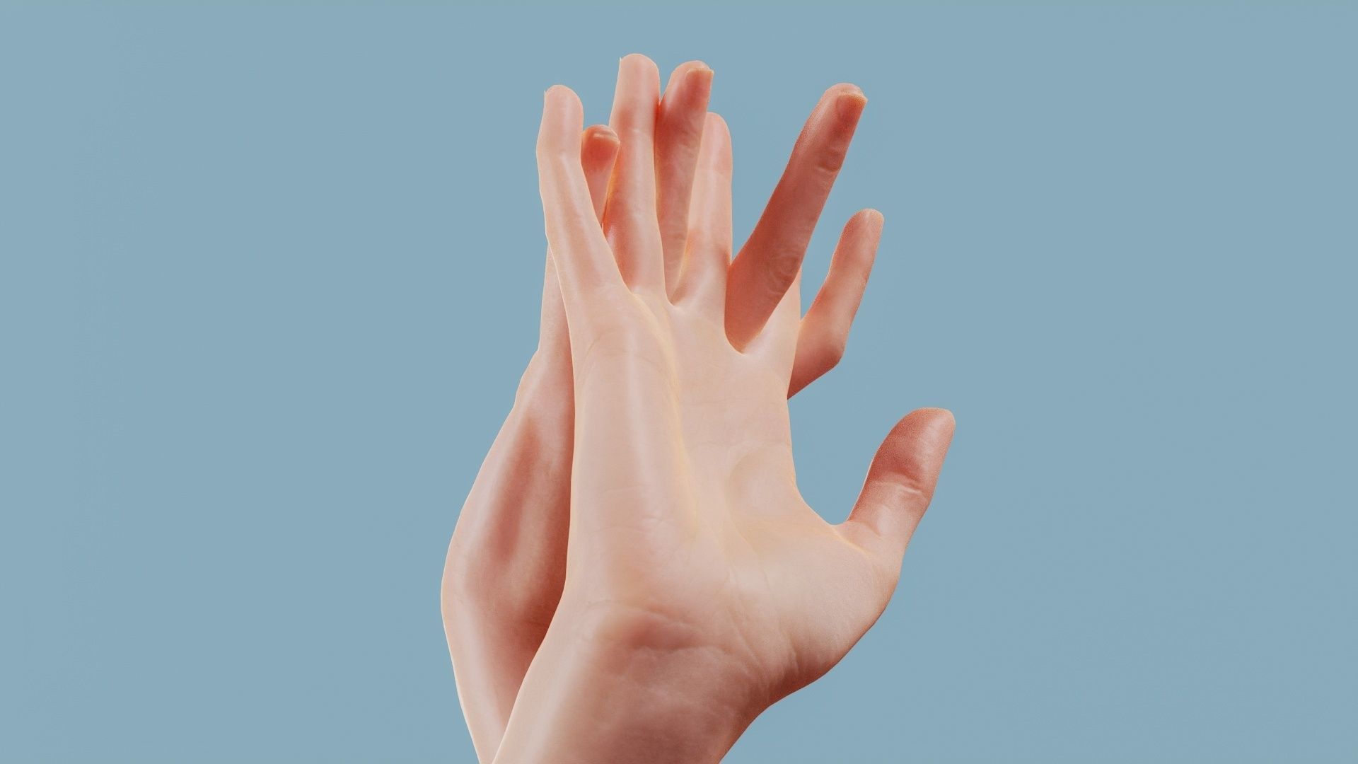 Entangled Duo Hands 028 Low-poly 3D model_3